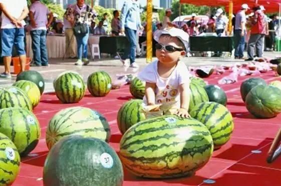 大赛吃瓜在线,揭秘幕后精彩瞬间