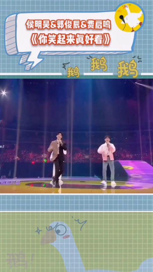 综艺吃瓜鹅音乐,揭秘娱乐圈幕后音乐风云