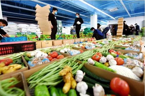 太原疫情吃瓜,吃瓜群众视角下的实时动态