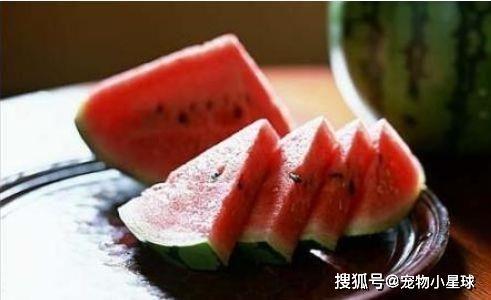 田家庄吃瓜,夏日盛宴尽享田园风光