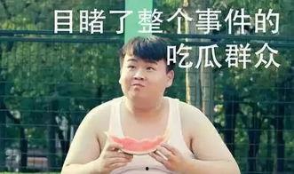 宇泽吃瓜群众,揭秘娱乐圈幕后风云