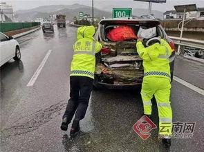 谴责吃瓜群众,共建文明网络环境